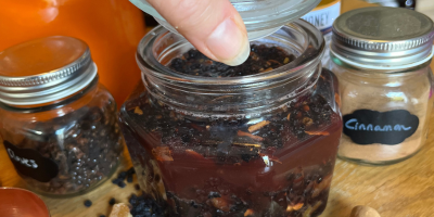 Winter Wellness: Building resilience with herbal medicine