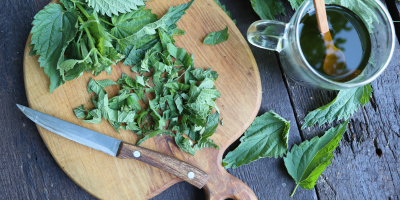 Spring Equinox: a season of reckoning and release