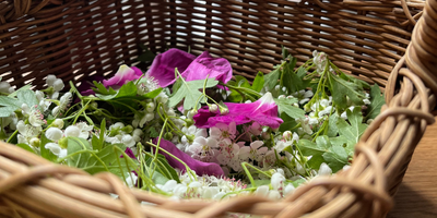 Returning to the May Tree and the Shape of Love