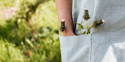 Dandelions in Jumpers and Pockets full of Earth Medicine