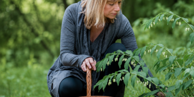 How to choose the right herbal medicine course